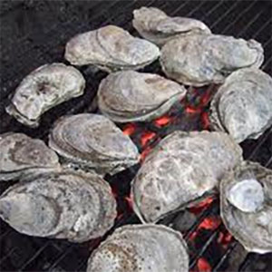 Eastern Oysters