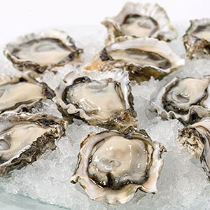 Kumomotos (Humboldt Bay)