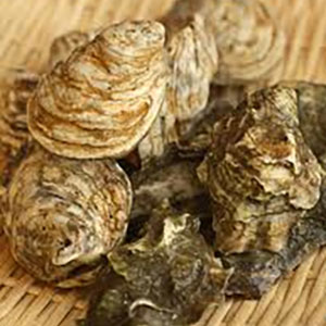 Kusshi Oysters