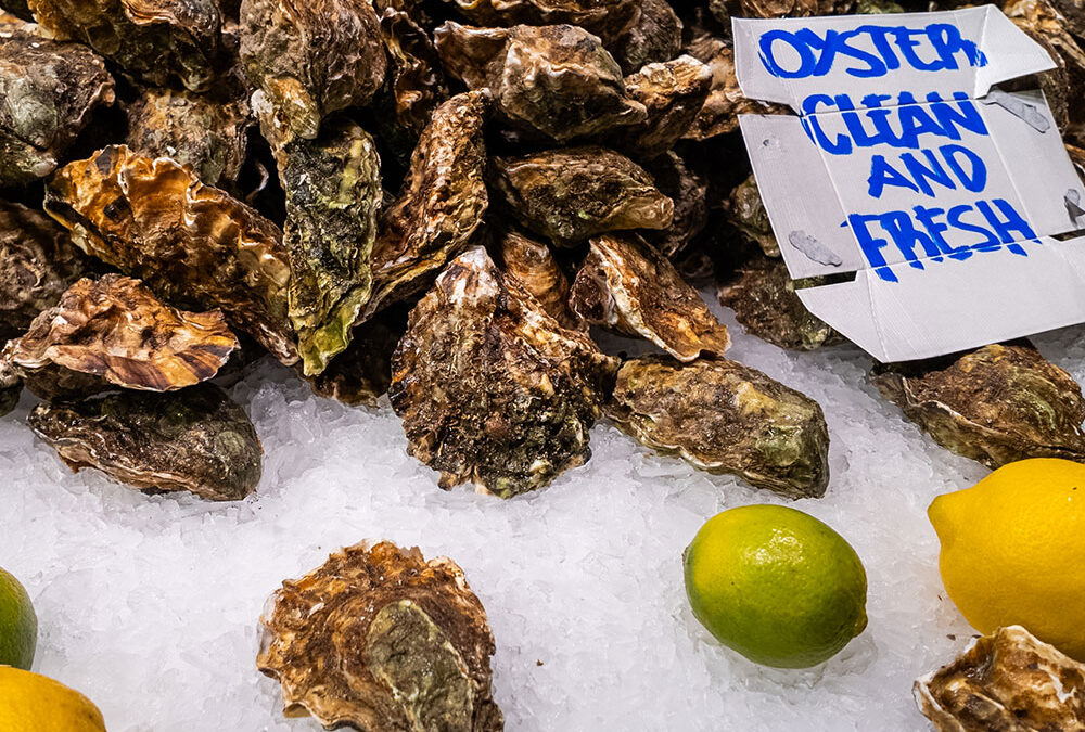The Nature of Oysters